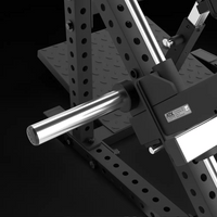 ATX® Rudermaschine - Double-side Linear Row 50mm Hantelscheibenaufnahme