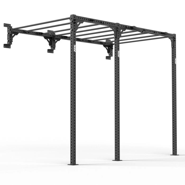 ATX® Functional WALL RIG 700 - Ladder 2